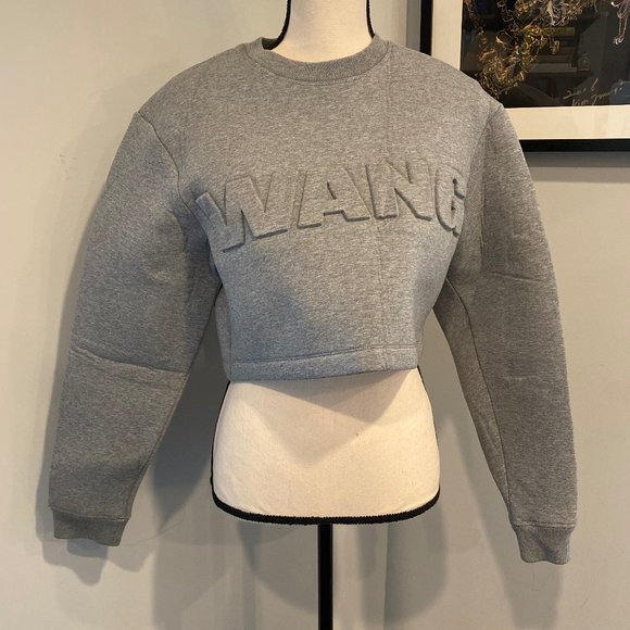 Alexander Wang Tops - Alexander Wang X H&M Gray Neoprene Crop Sweatshirt